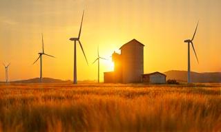 Sustainable windmill and wheat field